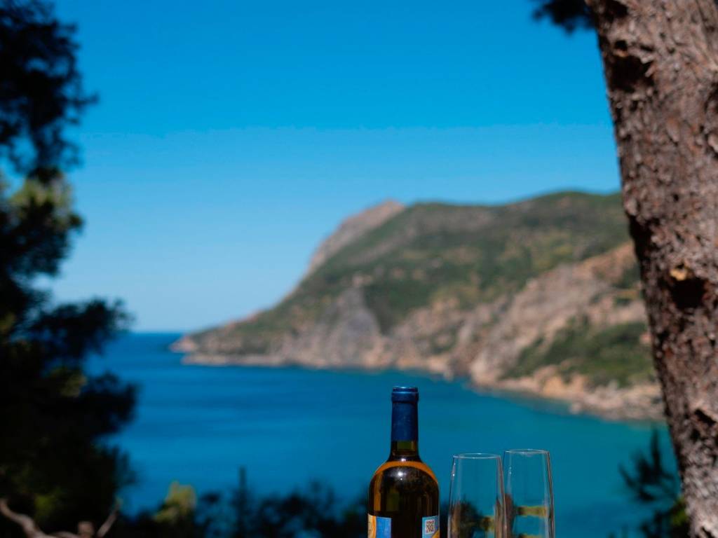 casa indipendente in vendita a Monte Argentario in zona Porto Santo Stefano