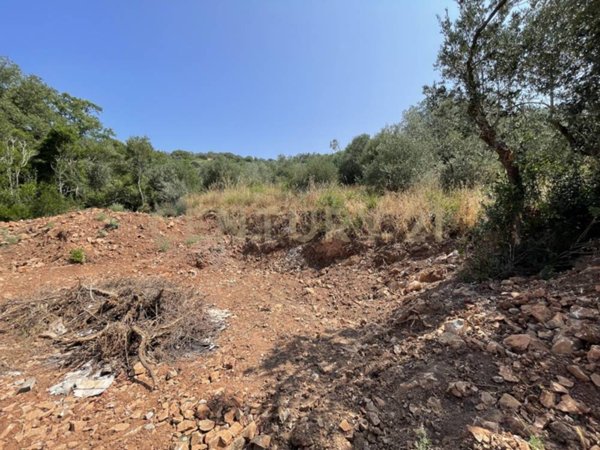 casa indipendente in vendita a Monte Argentario in zona Porto Santo Stefano