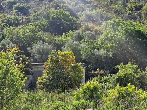 casa indipendente in vendita a Monte Argentario in zona Porto Santo Stefano