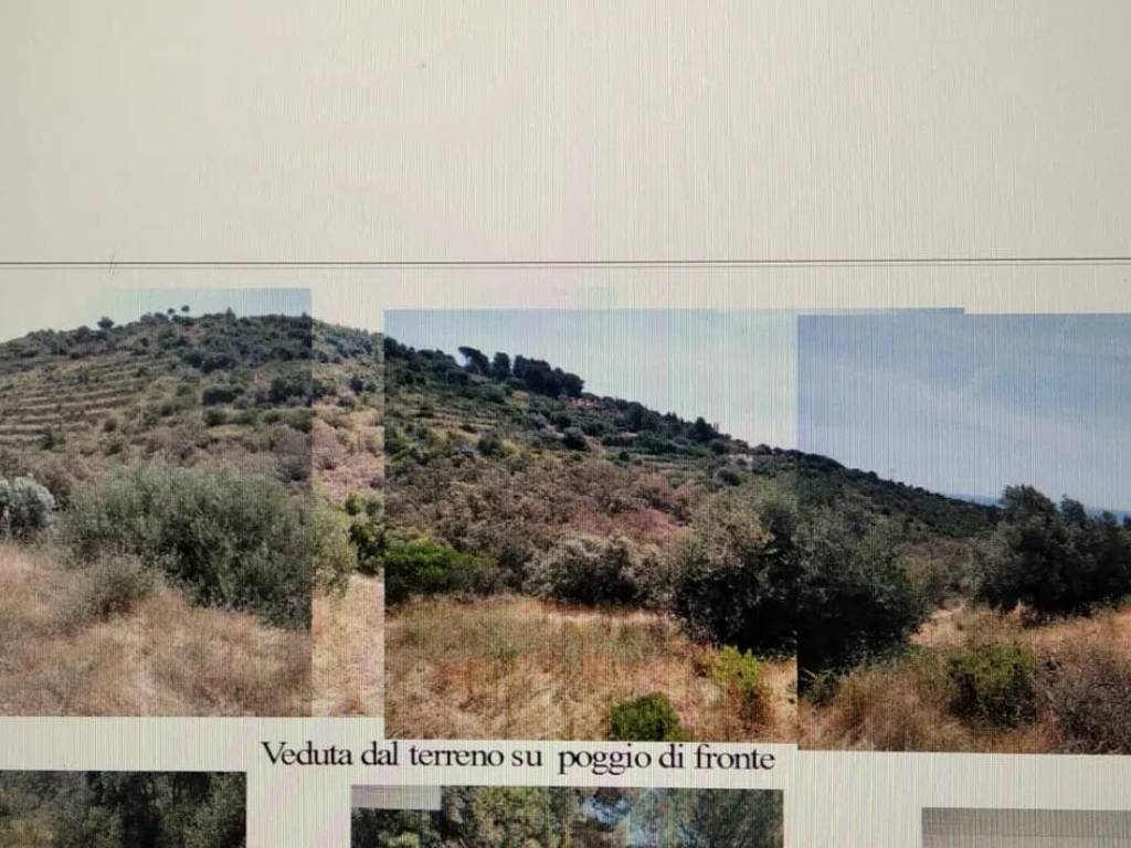 terreno agricolo in vendita a Monte Argentario in zona Porto Santo Stefano