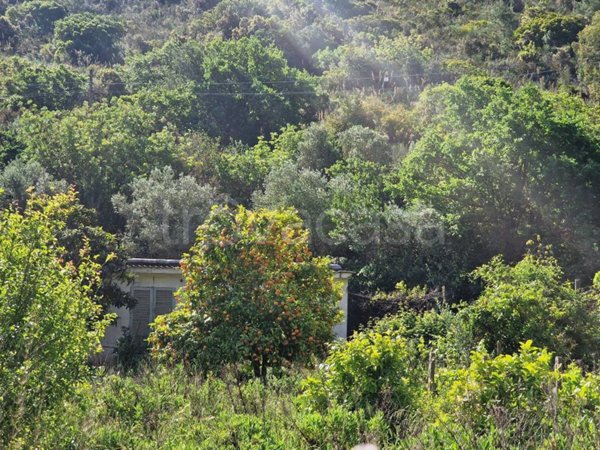 casa indipendente in vendita a Monte Argentario in zona Porto Santo Stefano