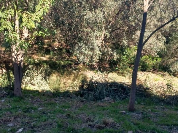 appartamento in vendita a Monte Argentario in zona Porto Ercole