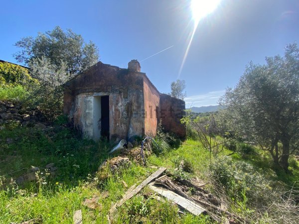 quadrivano in vendita a Monte Argentario