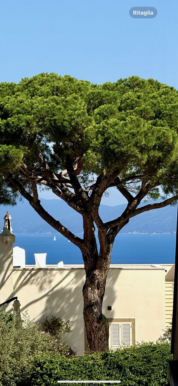 appartamento in vendita a Monte Argentario in zona Porto Santo Stefano