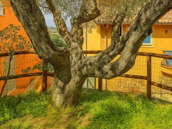 appartamento in vendita a Monte Argentario in zona Porto Santo Stefano