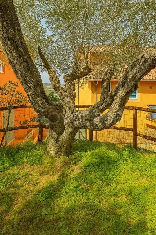 appartamento in vendita a Monte Argentario in zona Porto Santo Stefano