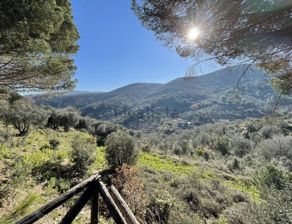 appartamento in vendita a Monte Argentario in zona Porto Santo Stefano