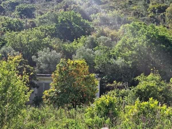 appartamento in vendita a Monte Argentario in zona Pozzarello