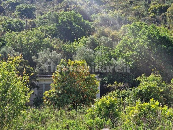 appartamento in vendita a Monte Argentario in zona Pozzarello