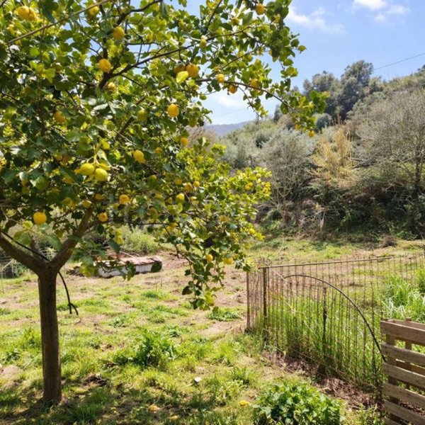 appartamento in vendita a Monte Argentario in zona Porto Santo Stefano