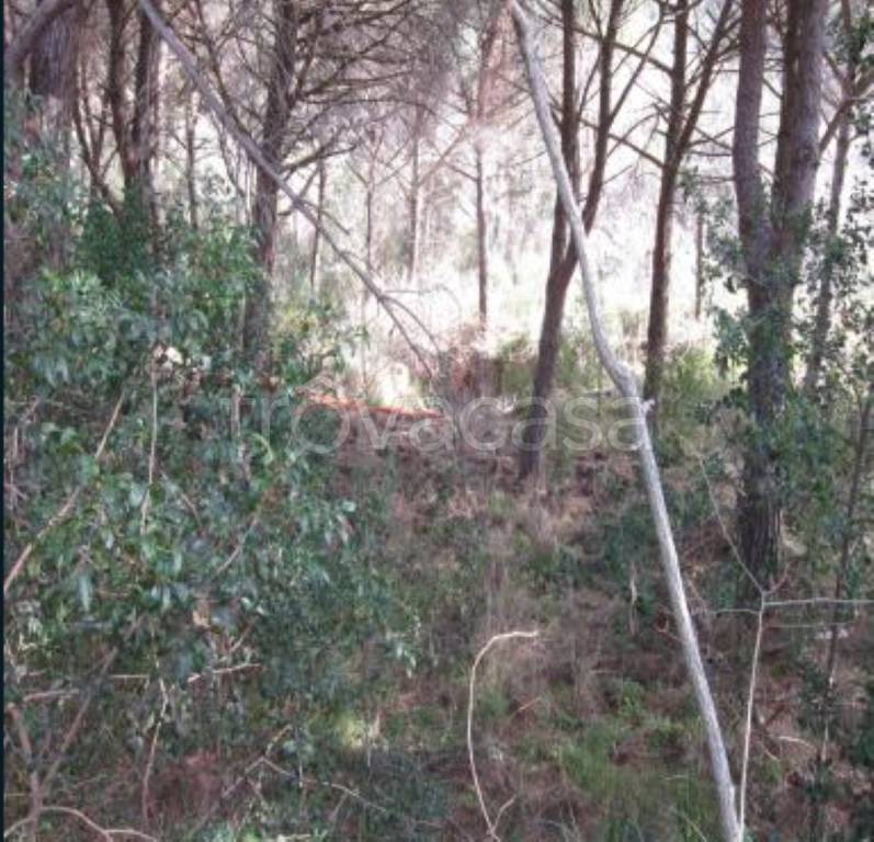 terreno agricolo in vendita a Monte Argentario in zona Porto Santo Stefano