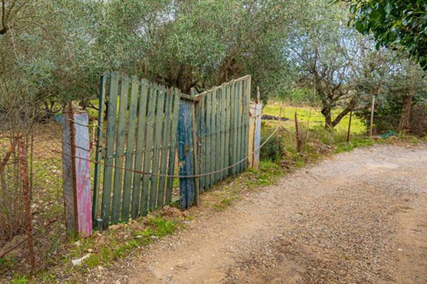 casa indipendente in vendita a Monte Argentario in zona Porto Santo Stefano