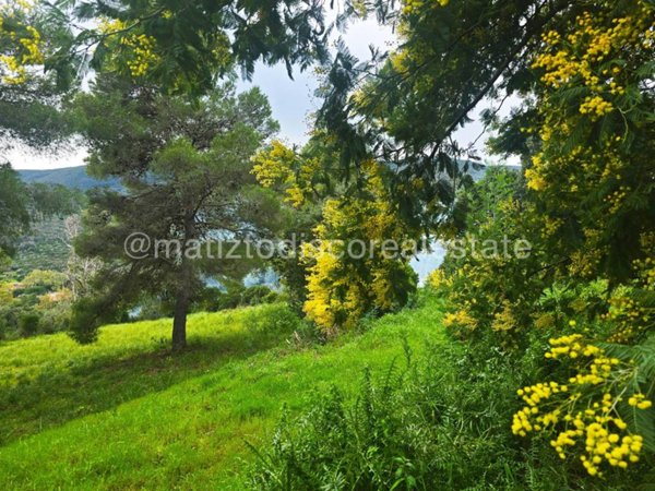 monolocale in vendita a Monte Argentario in zona Porto Ercole