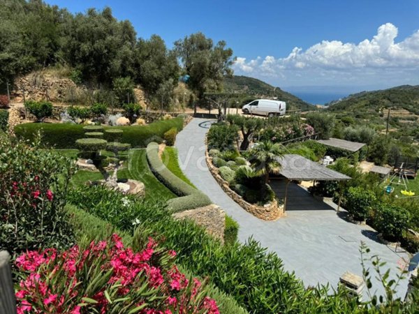 immagine annuncio 0 di 15