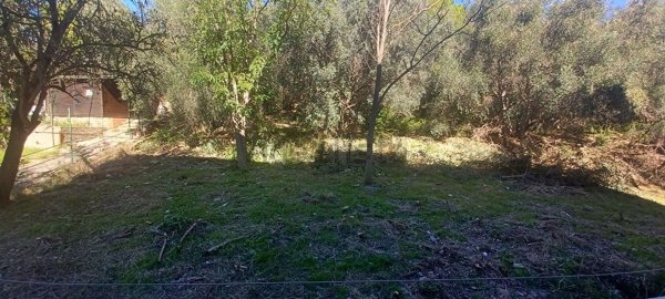 appartamento in vendita a Monte Argentario