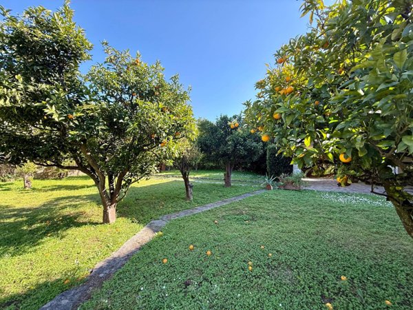 casa indipendente in vendita a Monte Argentario in zona Pozzarello