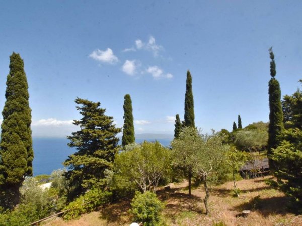 casa indipendente in vendita a Monte Argentario in zona Porto Santo Stefano