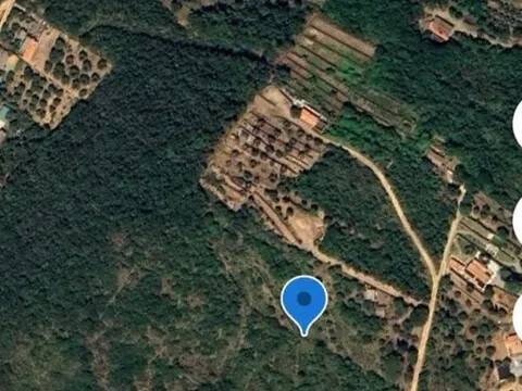 terreno agricolo in vendita a Monte Argentario in zona Porto Santo Stefano