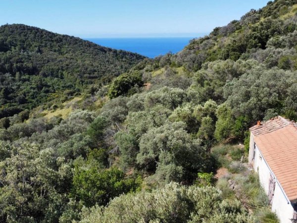 casa indipendente in vendita a Monte Argentario in zona Porto Santo Stefano
