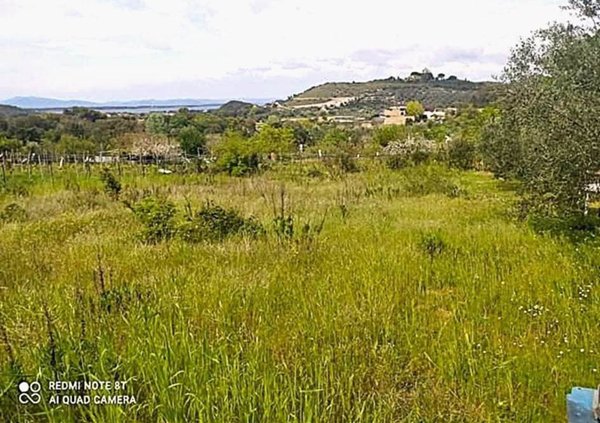 terreno agricolo in vendita a Monte Argentario