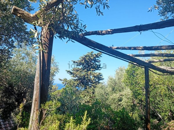 casa indipendente in vendita a Monte Argentario