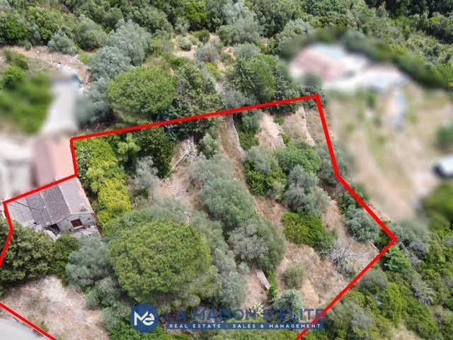 appartamento in vendita a Monte Argentario in zona Porto Santo Stefano