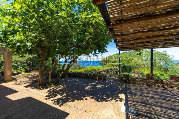 casa indipendente in vendita a Monte Argentario in zona Cala Moresca