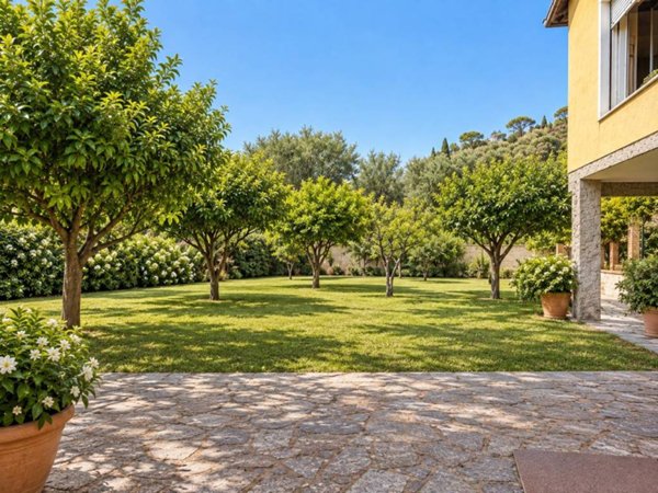 casa indipendente in vendita a Monte Argentario in zona Pozzarello