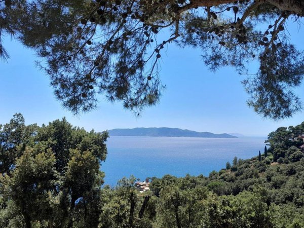 casa indipendente in vendita a Monte Argentario in zona Cala Piccola