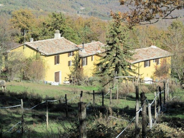 appartamento in vendita a Montieri in zona Travale