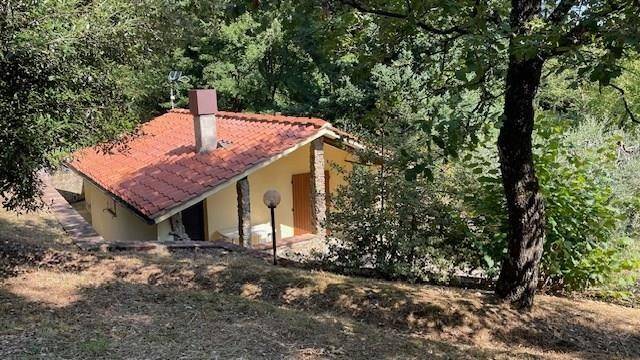 appartamento in vendita a Montieri in zona Travale