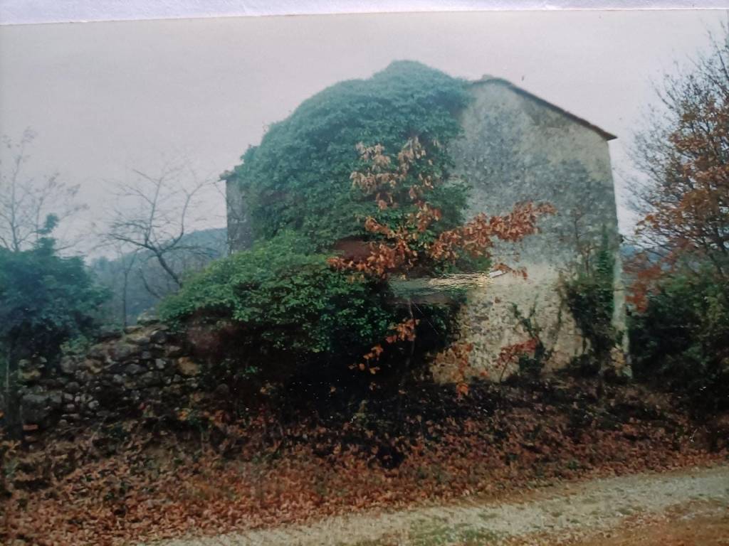 casa indipendente in vendita a Montieri