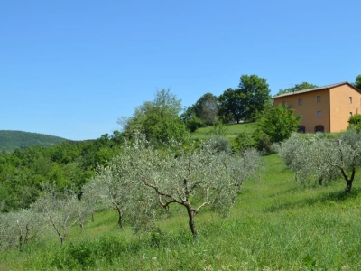 appartamento in vendita a Montieri in zona Travale