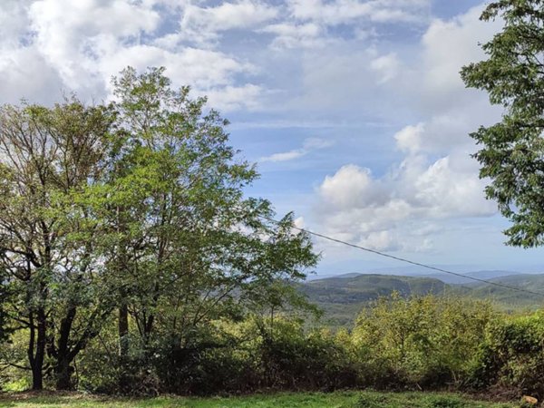 casa indipendente in vendita a Montieri in zona Gerfalco