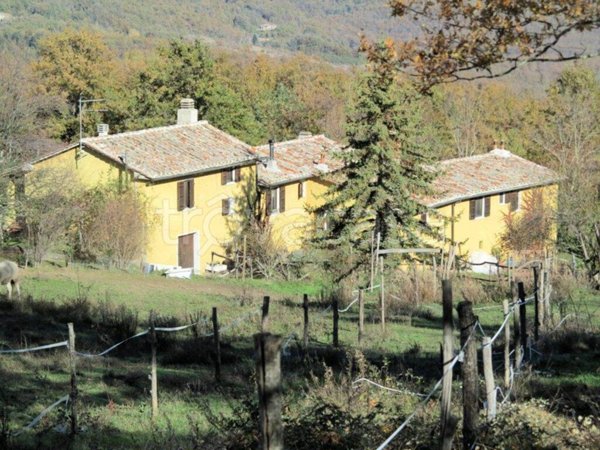ufficio in vendita a Montieri in zona Travale
