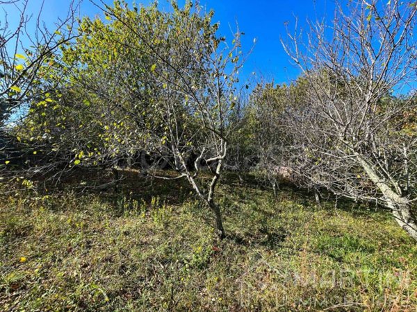 terreno agricolo in vendita a Montieri in zona Boccheggiano