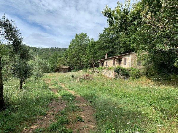appartamento in vendita a Montieri in zona Travale