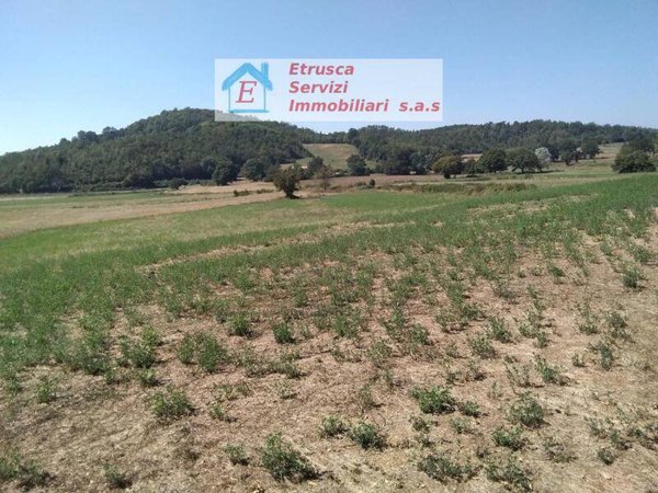 terreno agricolo in vendita a Montieri in zona Boccheggiano
