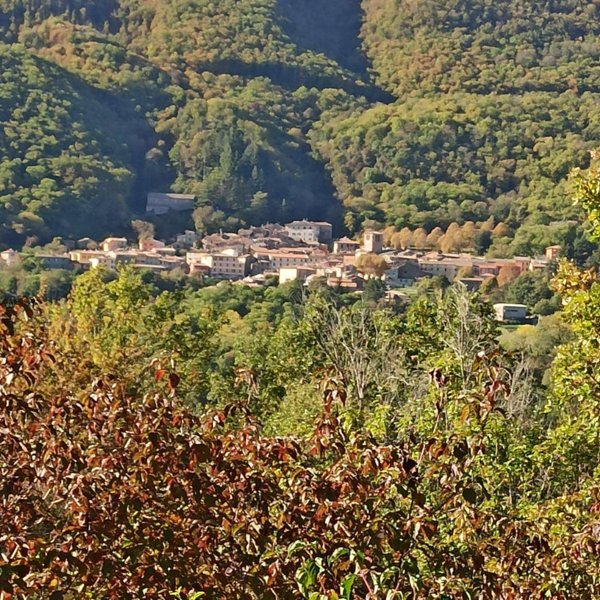 casa semindipendente in vendita a Montieri