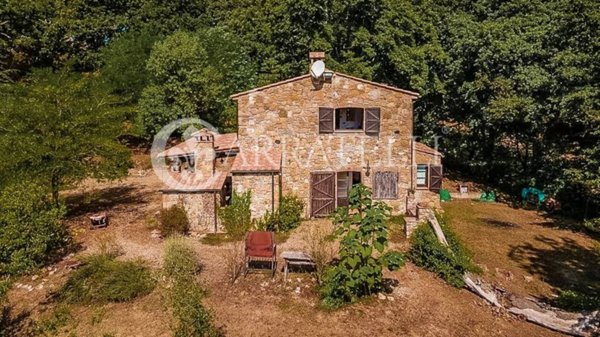 casa indipendente in vendita a Montieri