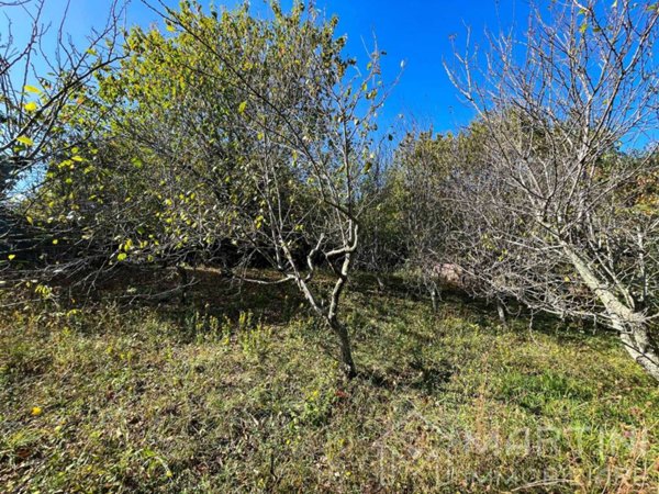 terreno agricolo in vendita a Montieri in zona Boccheggiano