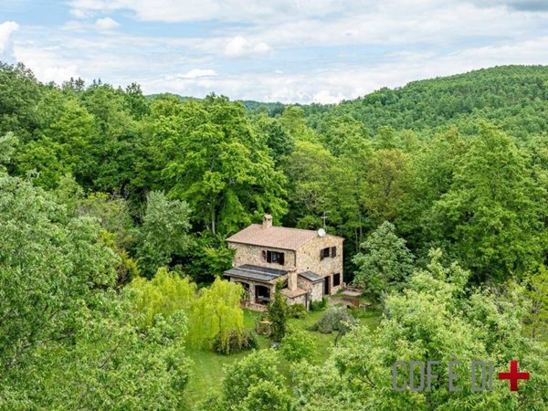 casa indipendente in vendita a Montieri in zona Boccheggiano