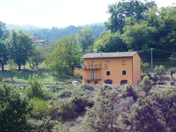 appartamento in vendita a Montieri in zona Travale