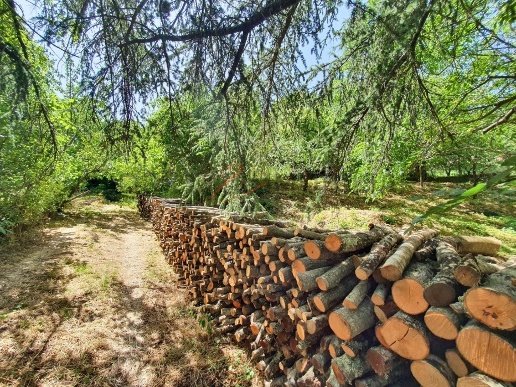 casa indipendente in vendita a Montieri