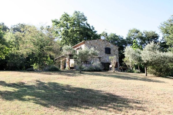 casa indipendente in vendita a Montieri in zona Boccheggiano