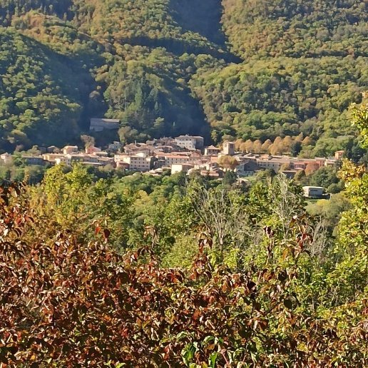 appartamento in vendita a Montieri