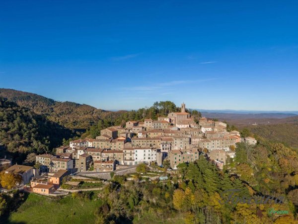 appartamento in vendita a Montieri in zona Gerfalco