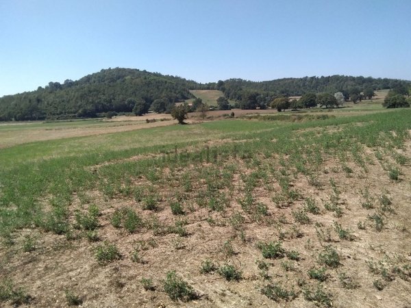 casa indipendente in vendita a Montieri