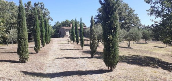 appartamento in vendita a Montieri in zona Boccheggiano