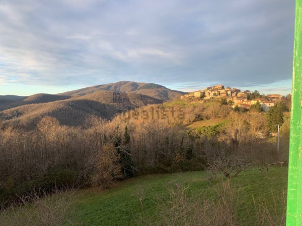 appartamento in vendita a Montieri in zona Boccheggiano